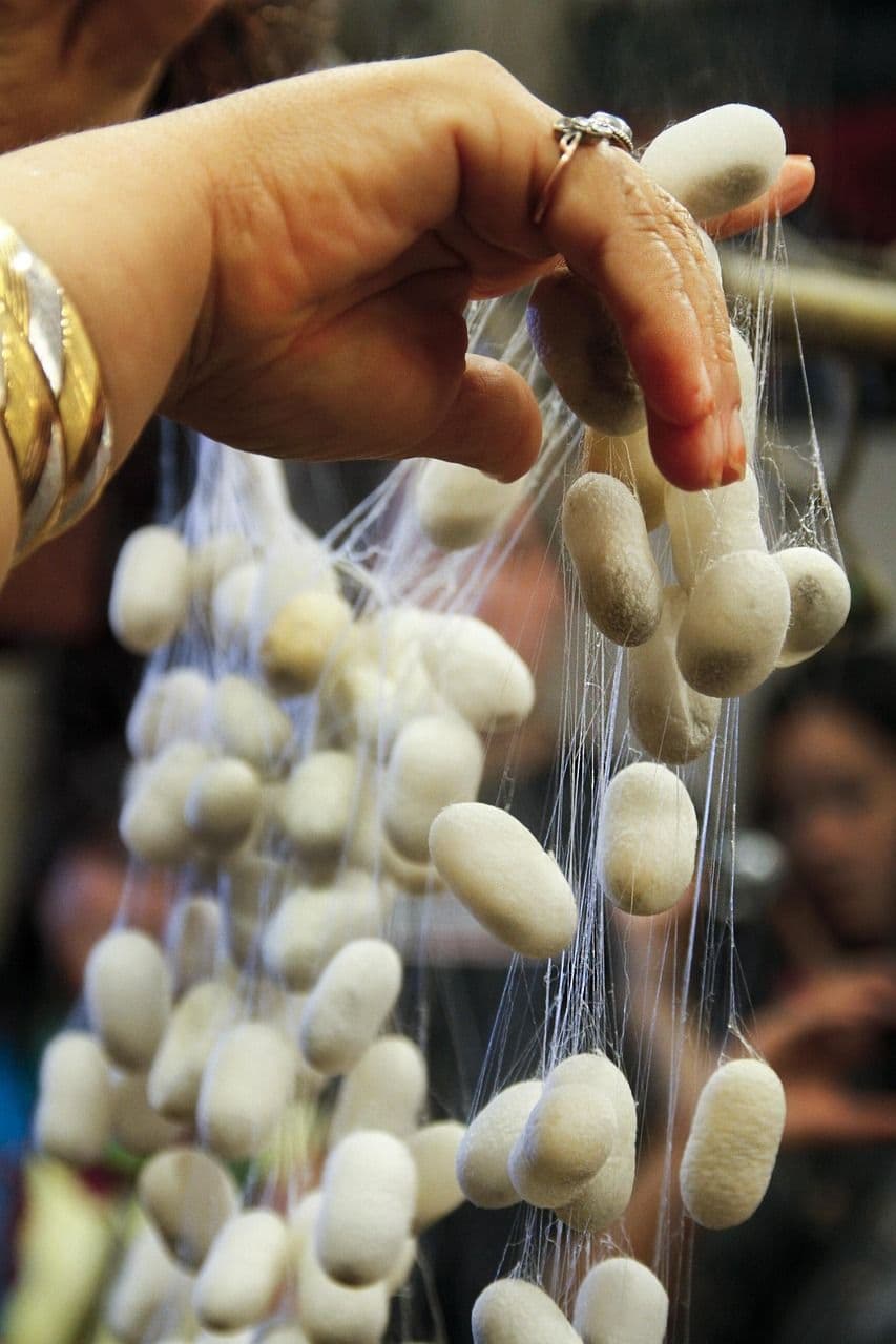 Seide: «Die Königin der Stoffe»